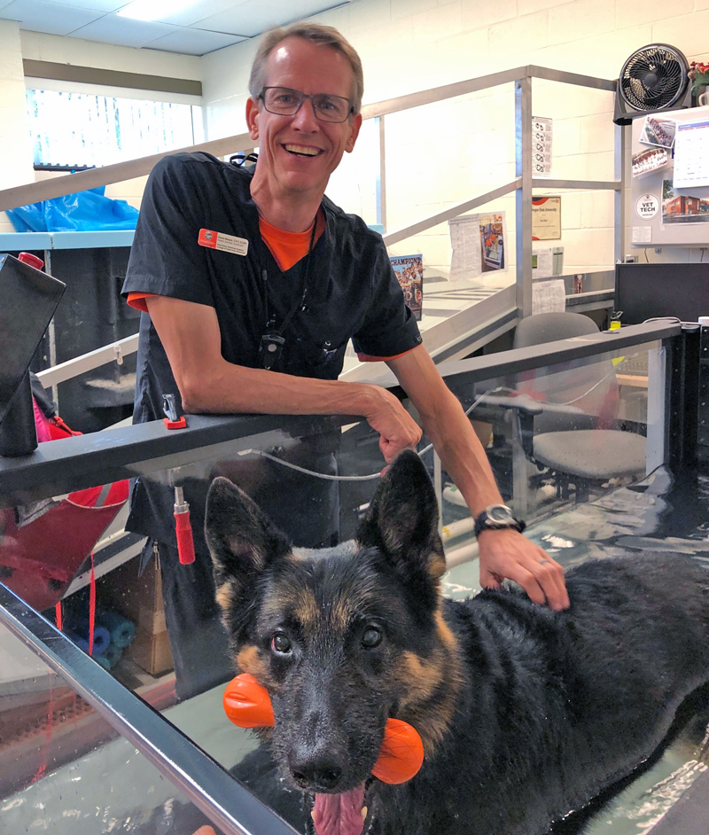 Dave Meyer works with a German Shepherd on the underwater treadmill in the rehabilitation facility