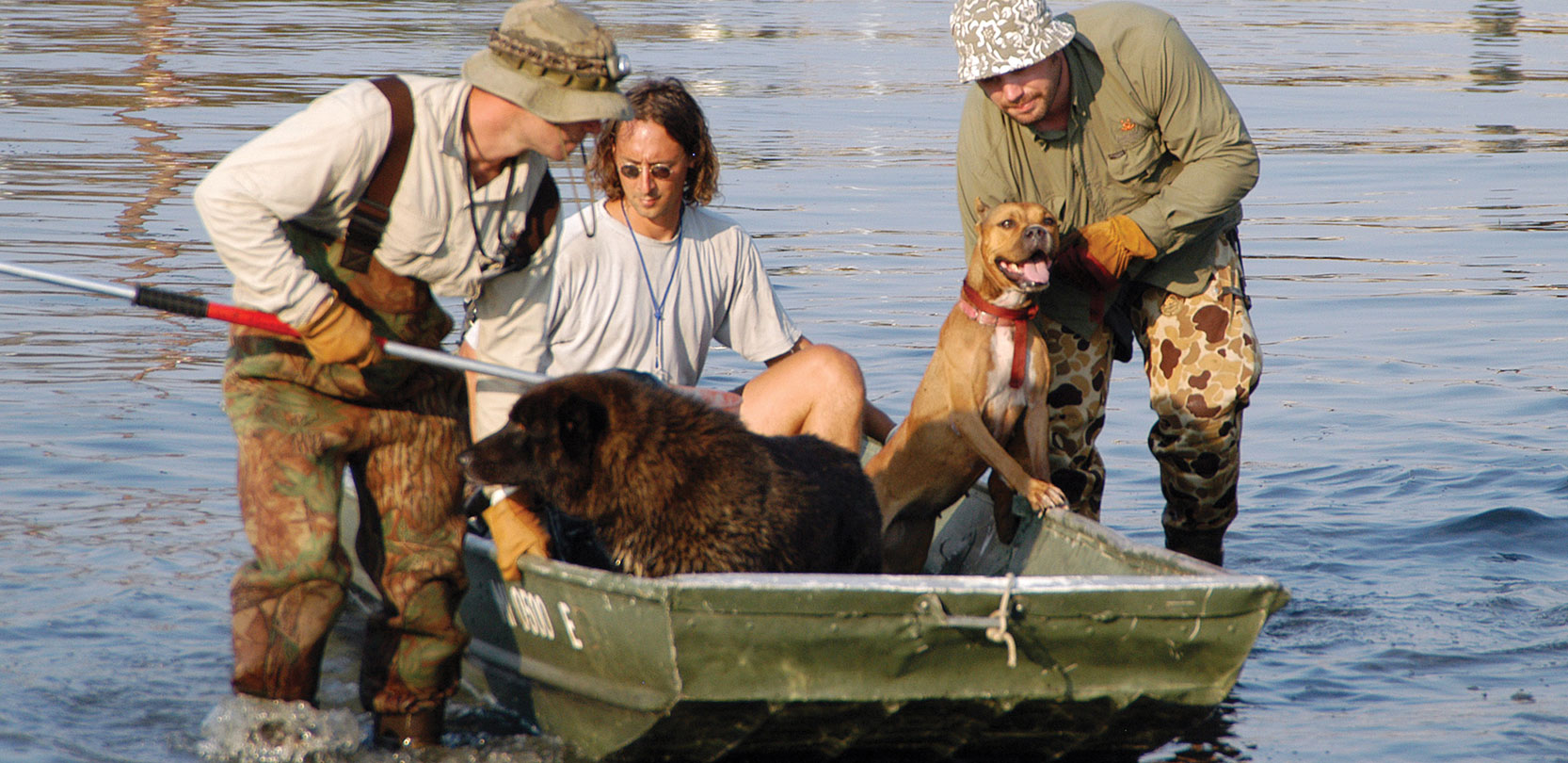 A Passion For Animal Rescue Inspires A Career | Carlson College of