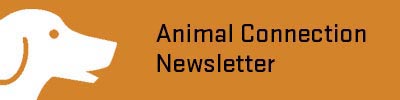 Animal Connection Newsletter