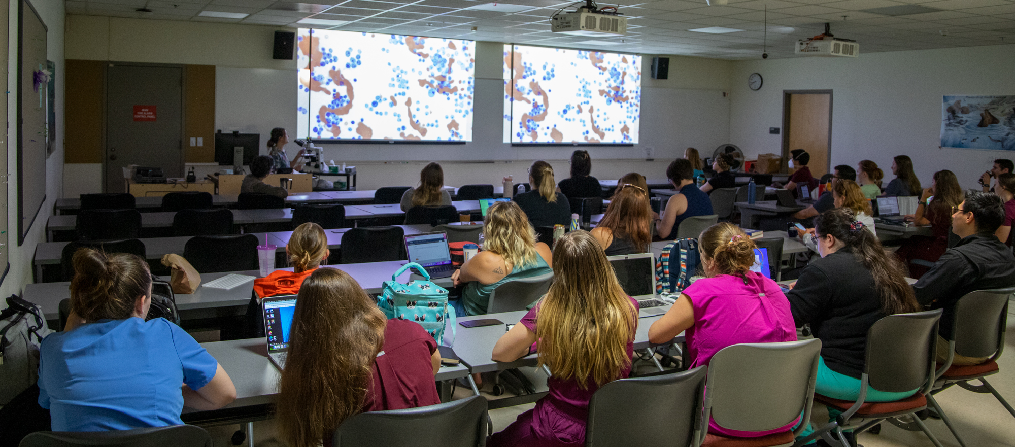 Clinical pathology rounds are held in classroom at the college. 