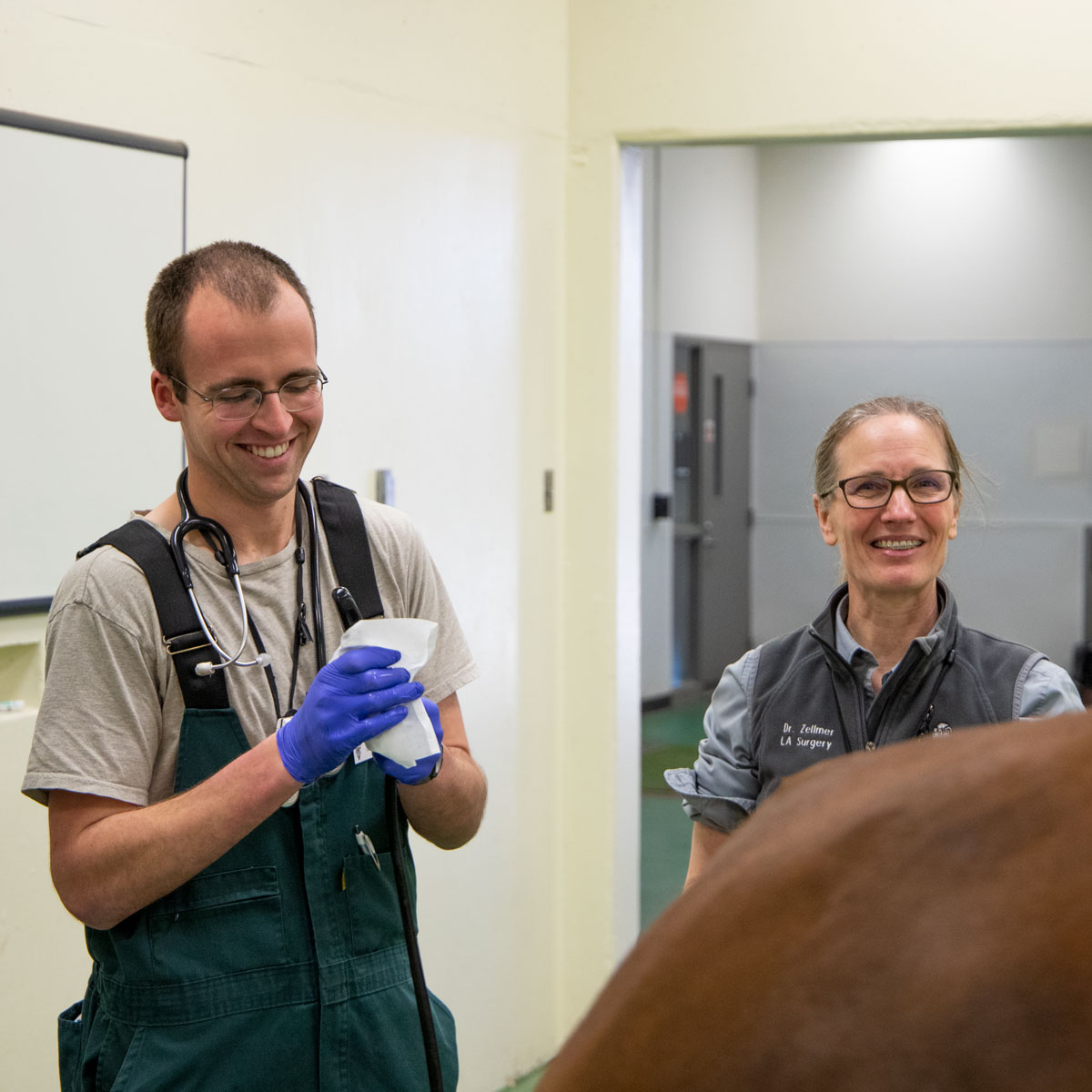 Veterinary student Jon Remy and Dr. Katja Duesterdieck-Zellmer share a laugh before starting a procedure. 