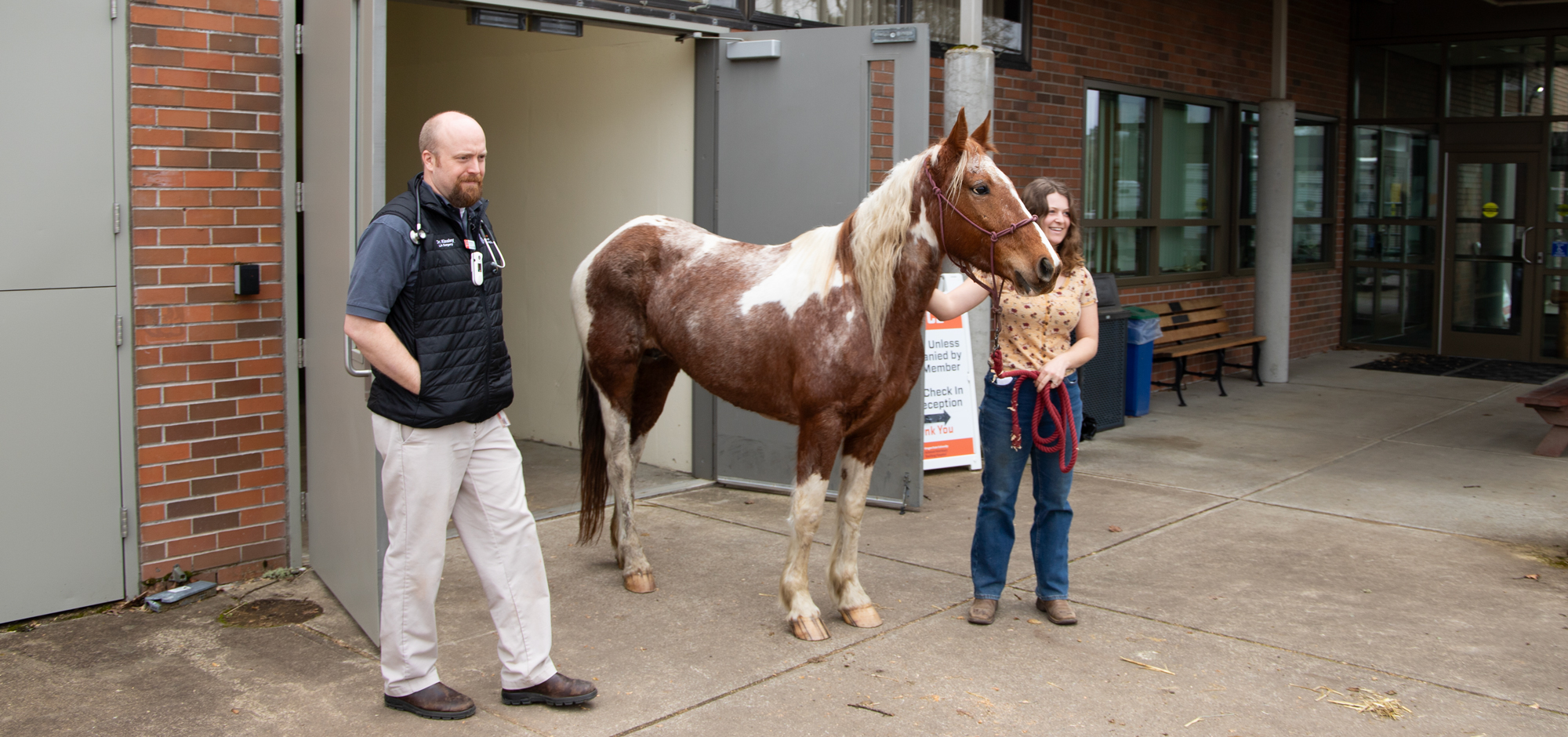 Person walks horse out of hospital while another person walks alongside. 