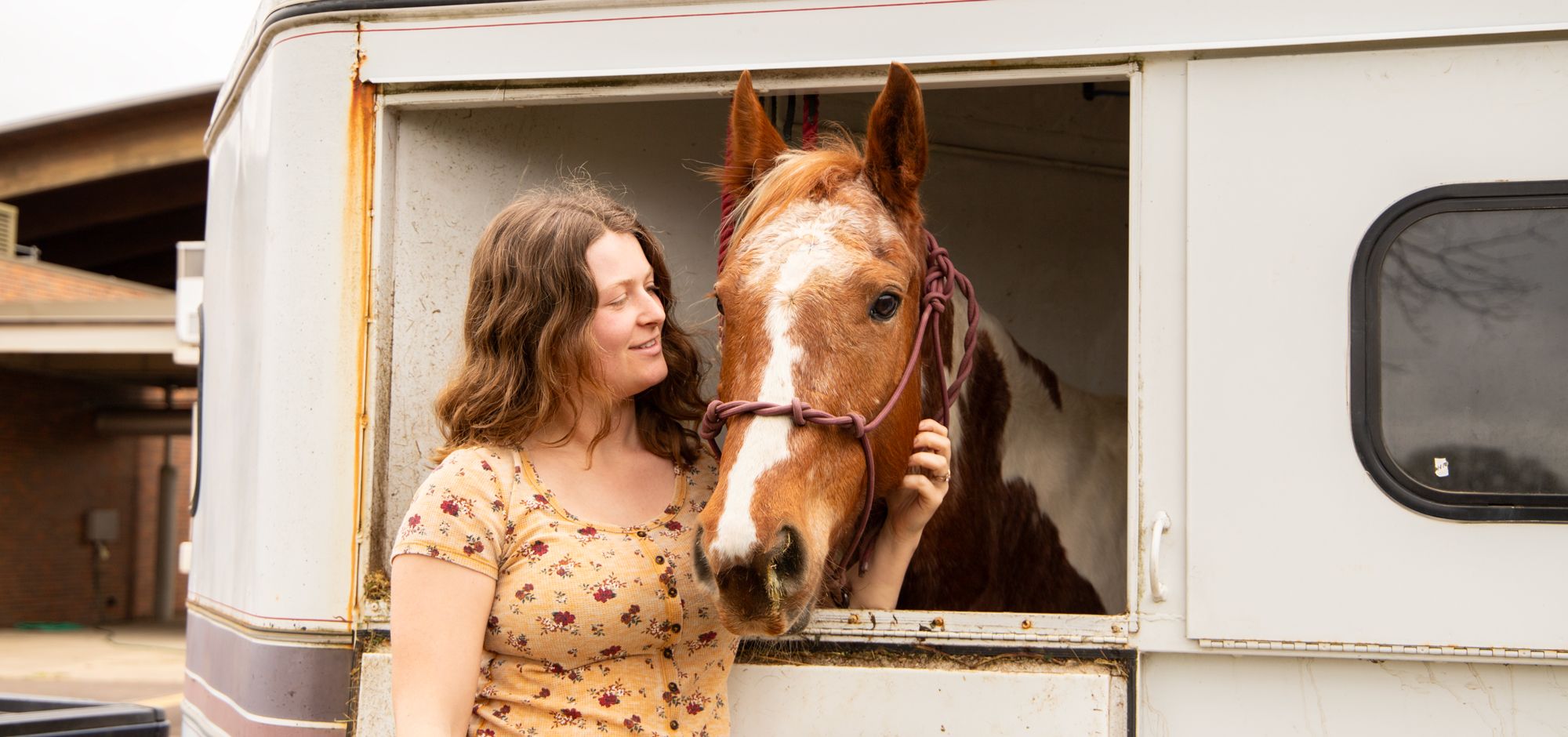 Horse looks out a horse trailer window. Woman stands next to it. 