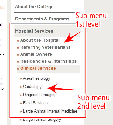 Current website sub-menu