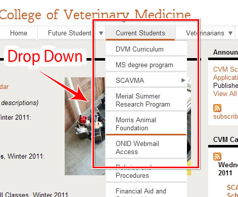 Audience Navigation Menu Dropdown