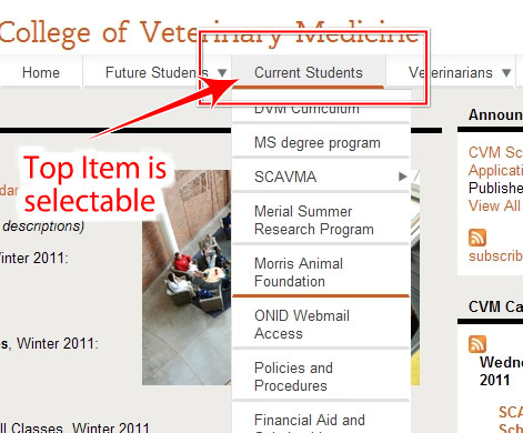 Audience Navigation Section top menu item