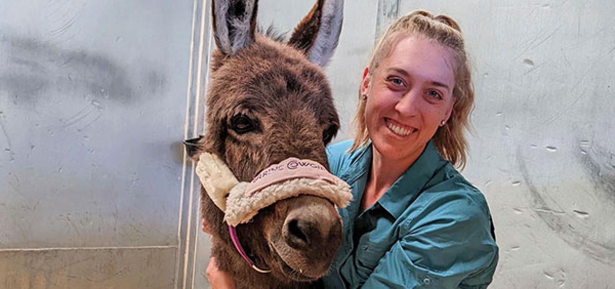 Carlson College of Veterinary Medicine | | Oregon State University Carlson College of Veterinary Medicine | | Oregon State University
