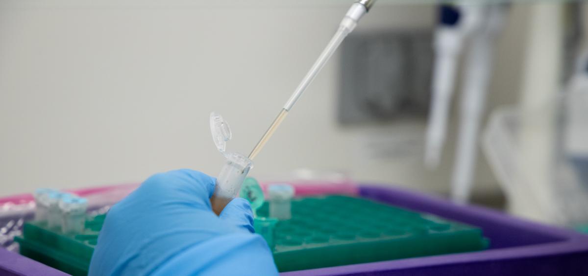 Test solution being extracted with syringe from a plastic vial. 