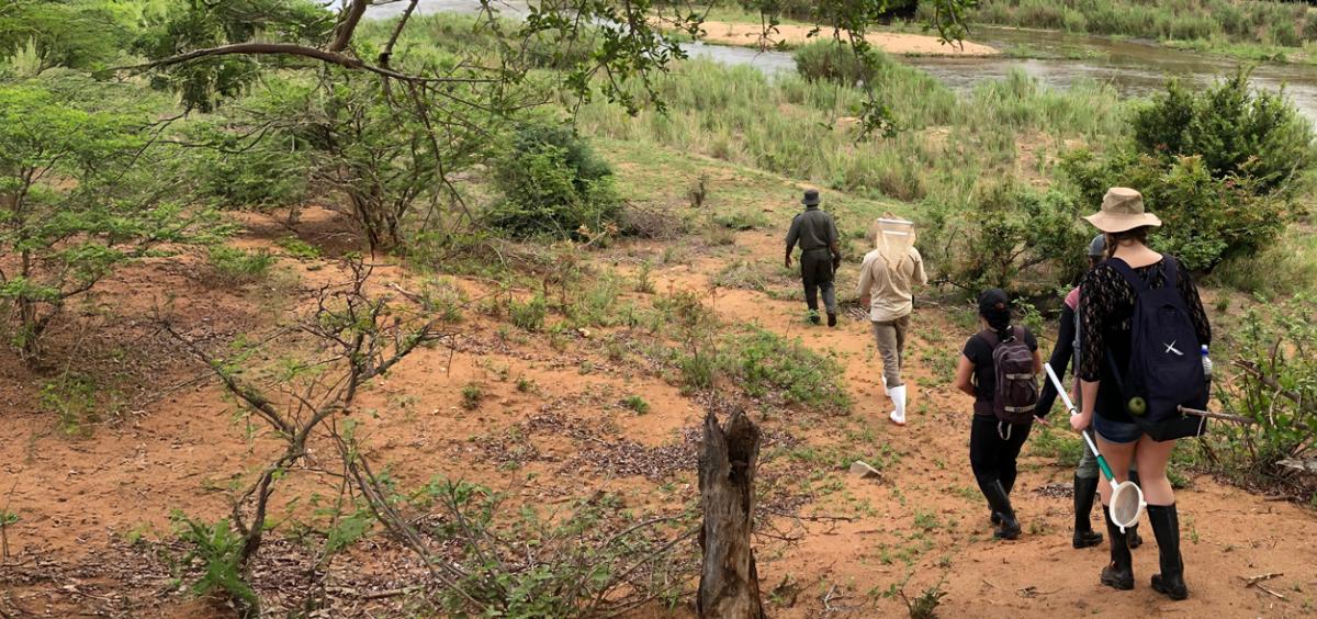 People walking along a river with nets and other ecology research gear