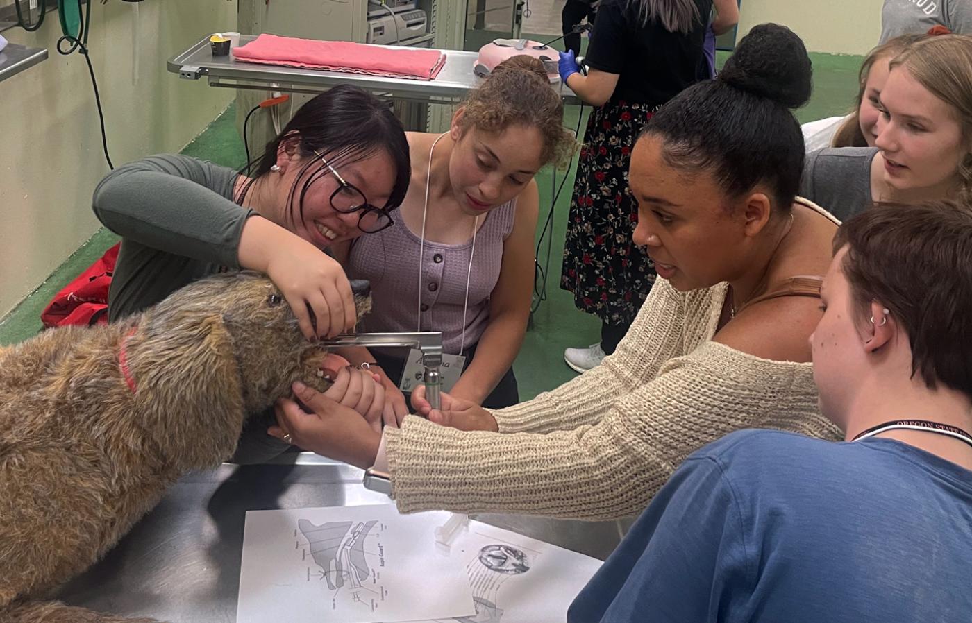 High students learning clinical skills 