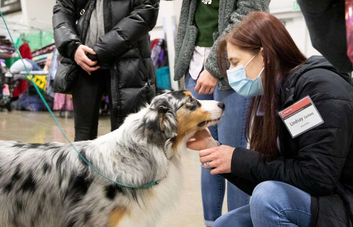 Student and Australian Sheperd at dog show