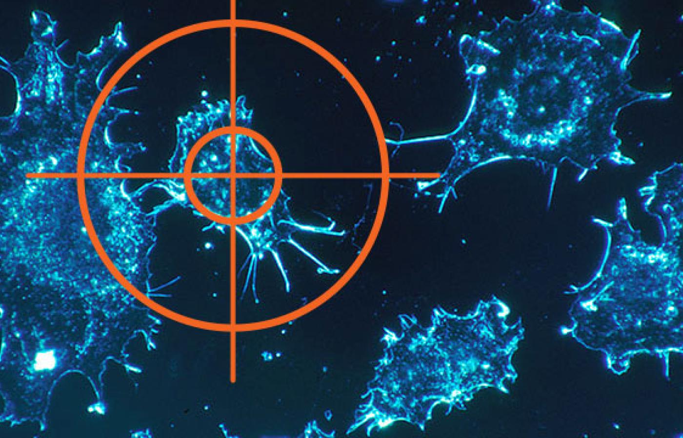 Target on cells through a microscope