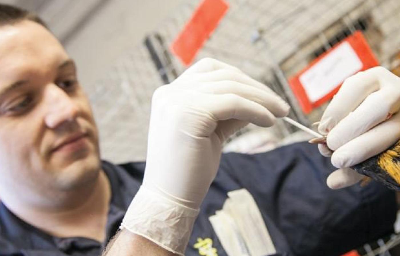 Dr. Ryan Scholz and a chicken