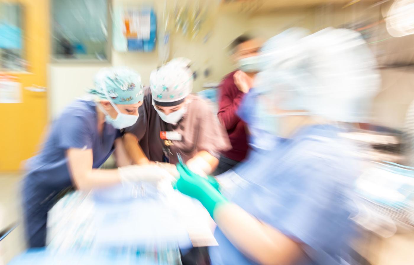 Two veterinary surgeons operate on a kitten. 
