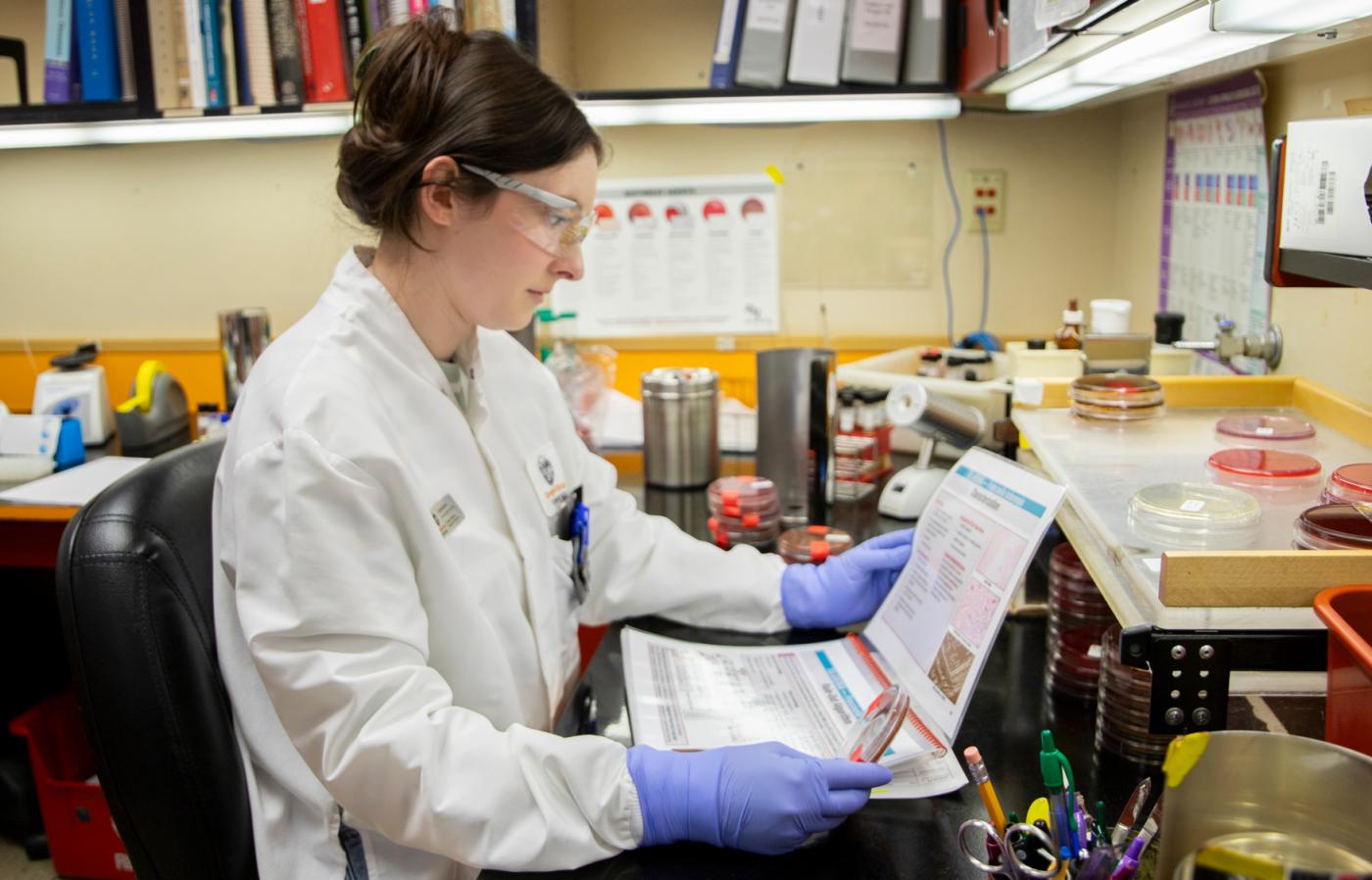 Scientist at work in diagnostic lab.