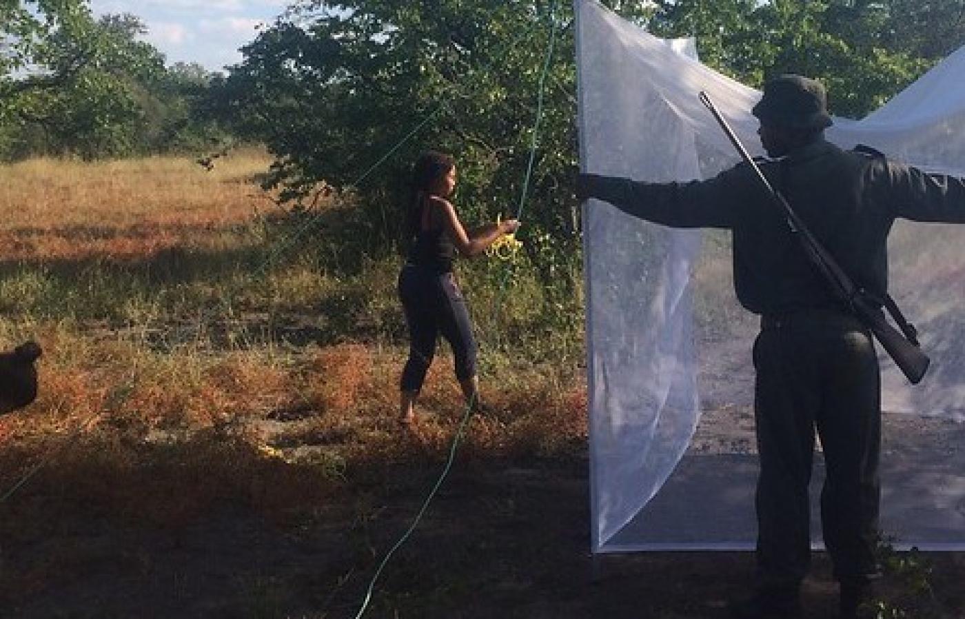 Researchers trapping mosquitoes in Kruger National Park in South Africa