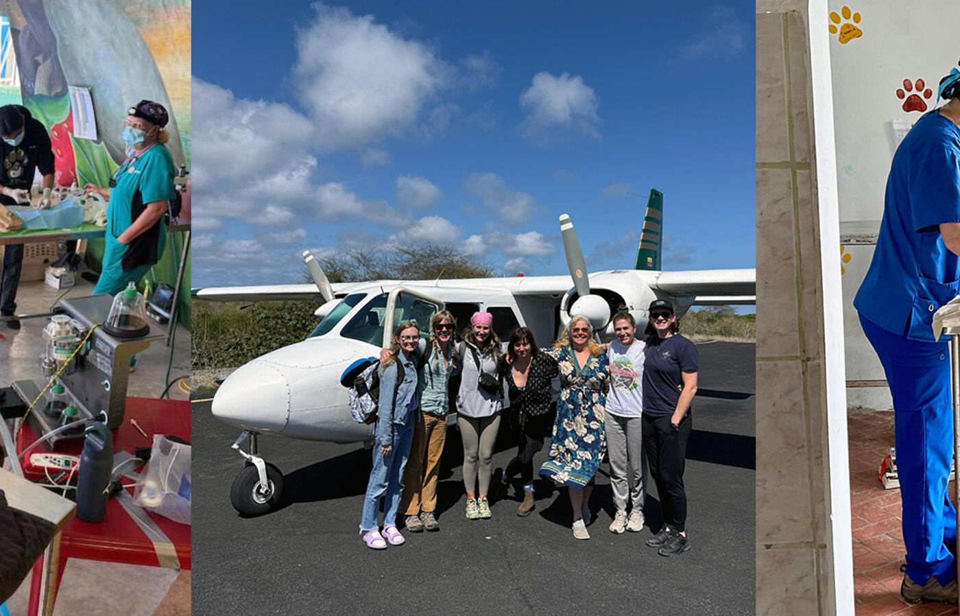 Collage of images showing veterinary care and a group photo with an airplane.