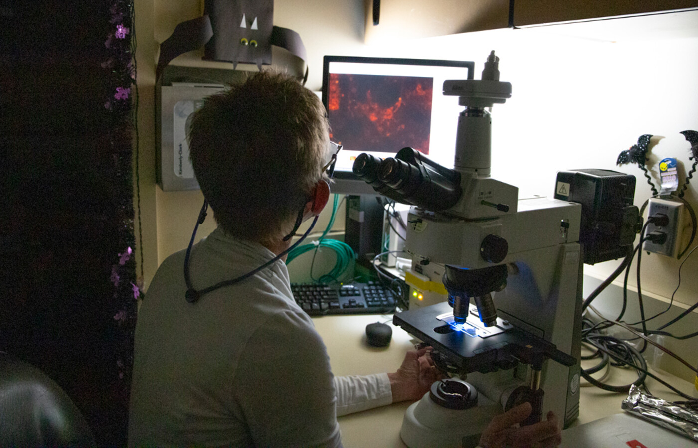 Wendy Black looks at slides on a microscope in the diagnostic lab.  