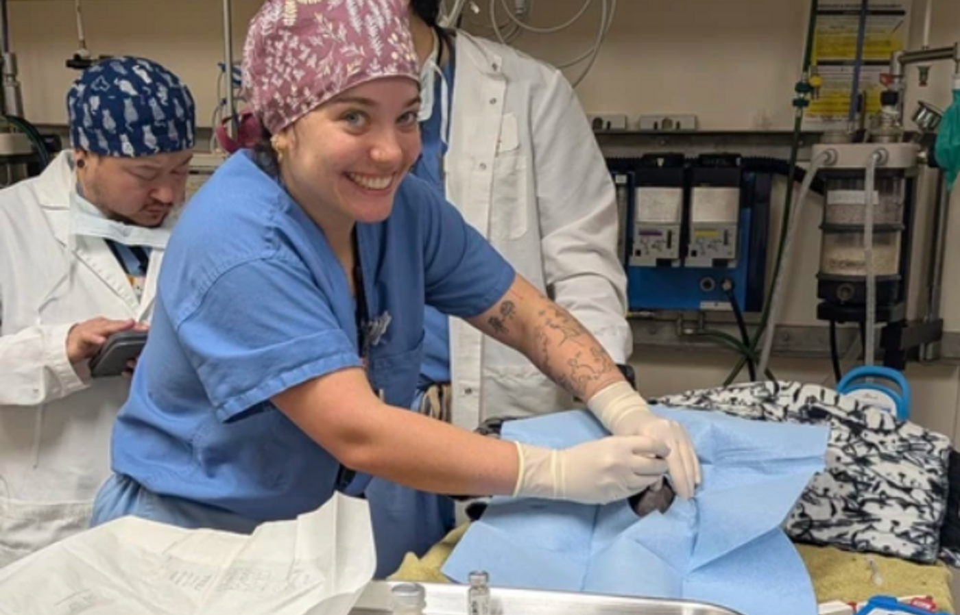 Veterinary student prepares a patient for surgery.