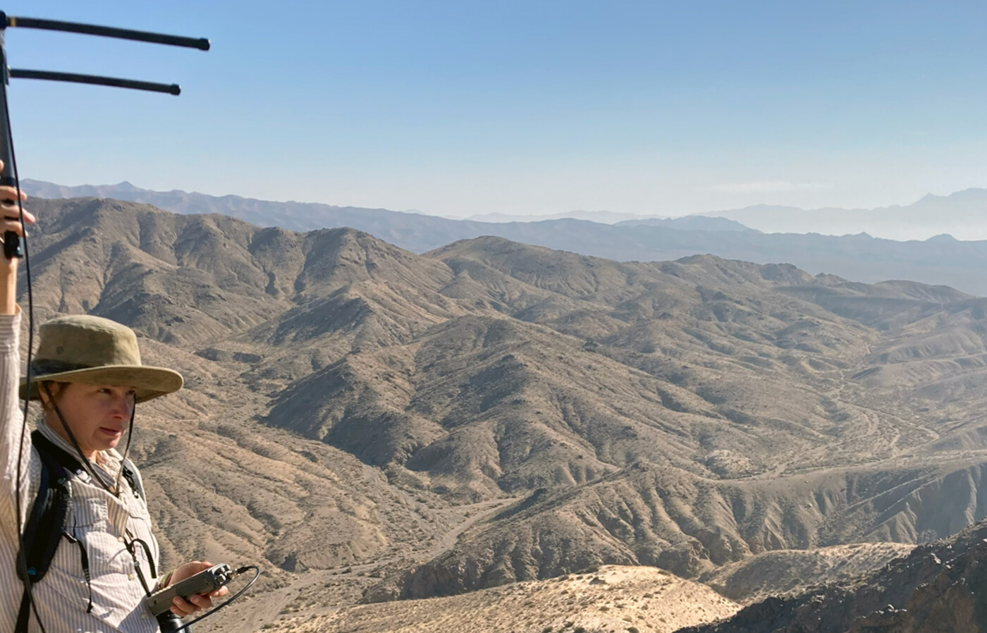 Anna Jolles holds an antenna in the Mojave desert to track bighorn sheep.