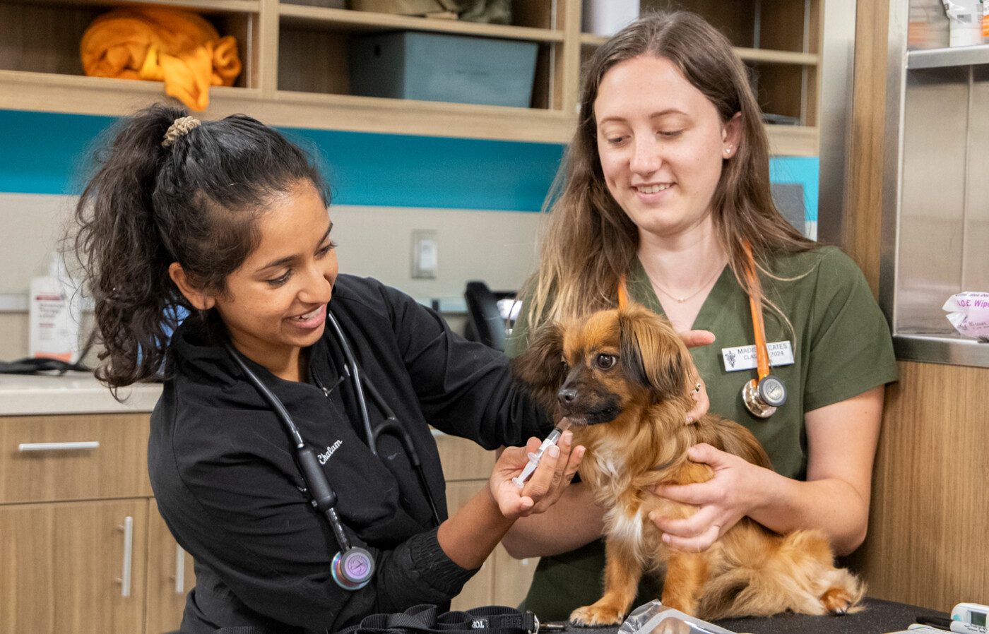 Dr. Chalam and veterinary student give dog a shot in vet hospital.