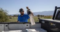 Man holds mosquito trap in pasture.
