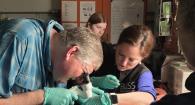  Dr. Tim Miller-Morgan and Dr. Cassandra Bliss examine the eye of a rockfish. 