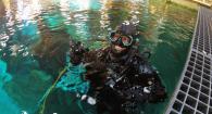 Dr. Carla Schubiger surfaces from a dive as a volunteer at the Oregon Coast Aquarium.  