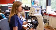 Dr. Rachael Gruenwald examines a microscopic slide. 