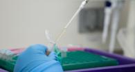 Test solution being extracted with syringe from a plastic vial. 