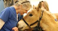 Certified Vet Tech Becki Francis says goodbye to Lil Buck before he leaves the hospital.