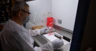 Microbiologist Nelson Osorio prepares a slide for rabies testing.