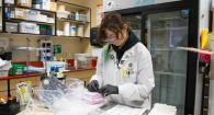 Technician receives milk samples in laboratory