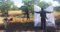 Researchers trapping mosquitoes in Kruger National Park in South Africa