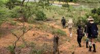 People walking along a river with nets and other ecology research gear