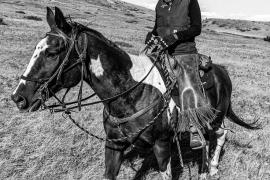 Black and white photo of a horse walking across grasslands with their owner sitting on their back 
