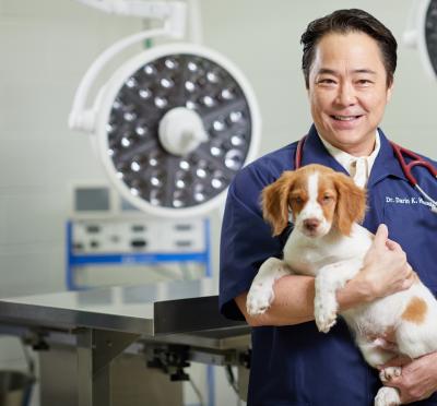 Dr Darin Hisanaga holding a puppy