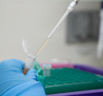 Pipette pulls up a solution from a vial in a laboratory.
