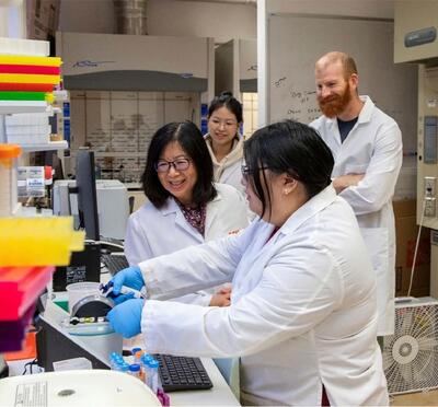Four researchers in lab coats conduct an experiment in a laboratory.