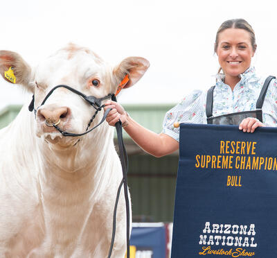 Person with championship banner holds halter of standing Charolais bull.