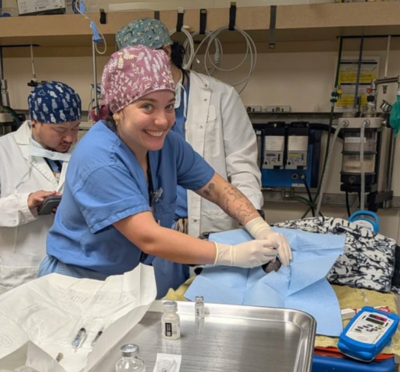 Veterinary student prepares a patient for surgery.