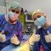 Veterinarian and vet student during a surgery on a dog.