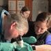  Dr. Tim Miller-Morgan and Dr. Cassandra Bliss examine the eye of a rockfish. 