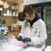 Technician receives milk samples in laboratory