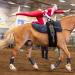 Girl balances on Toby, a Belgian draft horse, during an equine vaulting competition