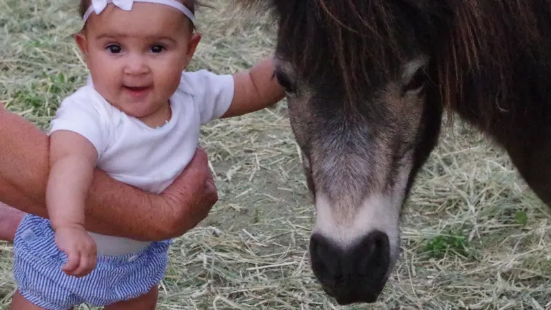 Baby next to small horse in a field