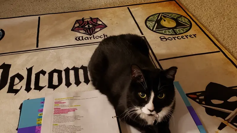 Black and white cat laying on top of a binder on the carpet