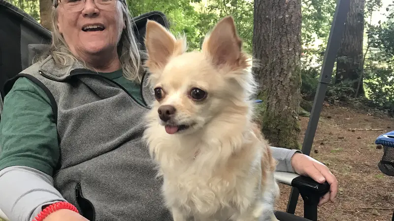 Small blonde dog sitting on the lap of their owner outside