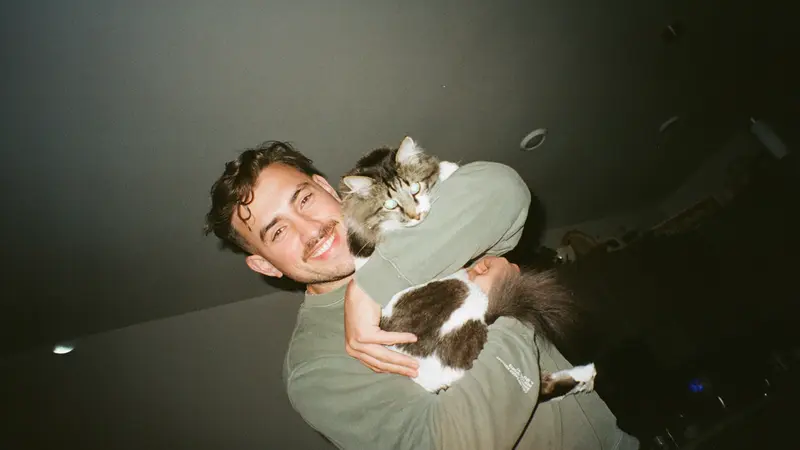 Brown and white cat being held in the arms of a person