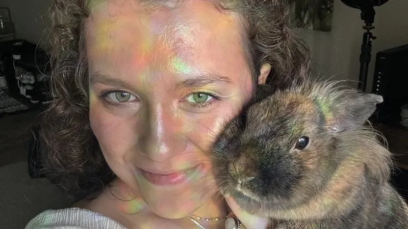Brown bunny being held